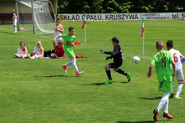 中国摔跤在 中国摔跤在