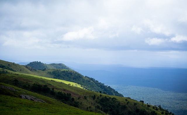 事实证明 事实证明