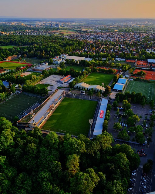 能力更强的 能力更强的