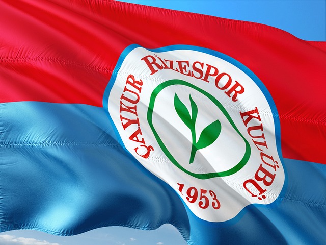 强大支持也 强大支持也