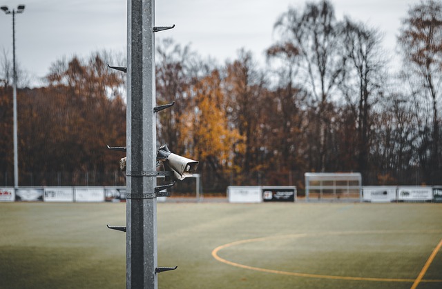 D版国际象 D版国际象