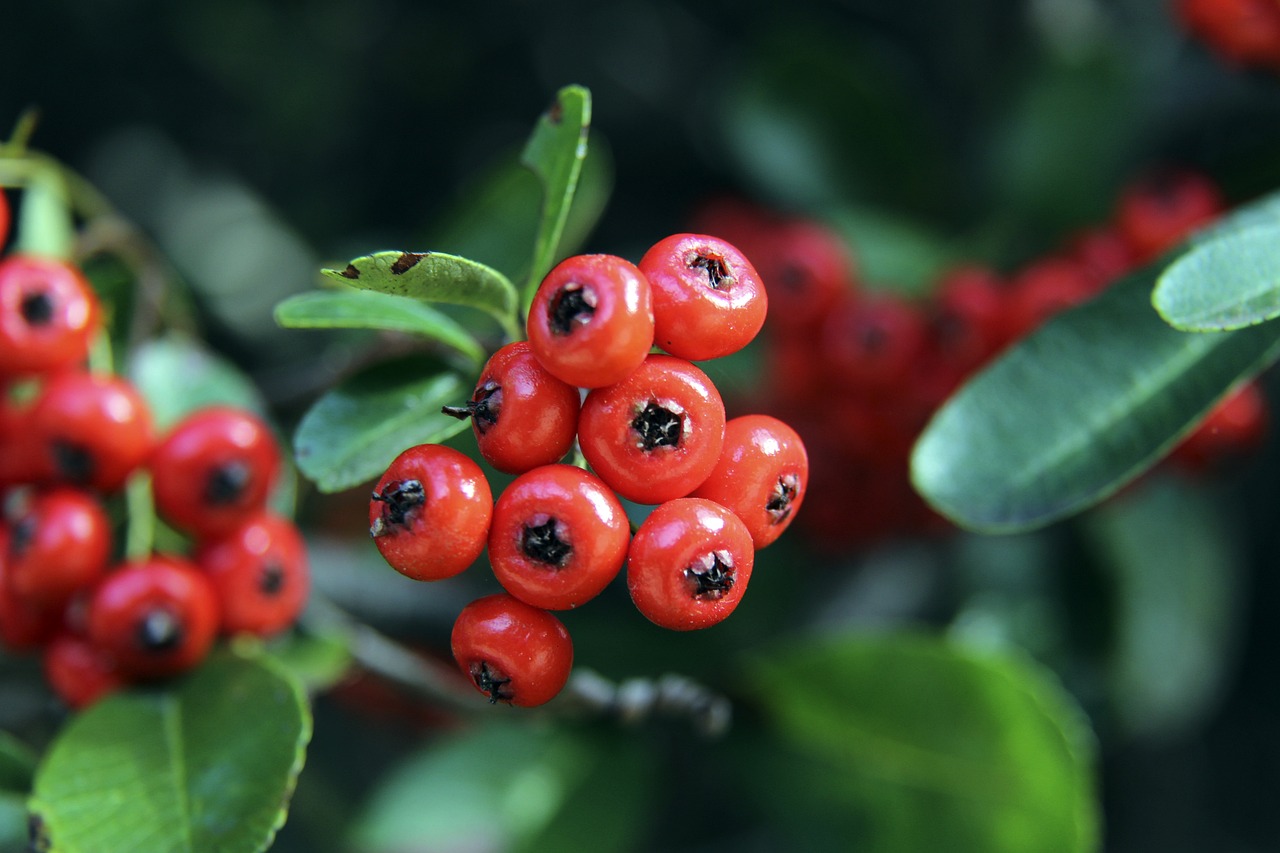 這種穩定性 這種穩定性