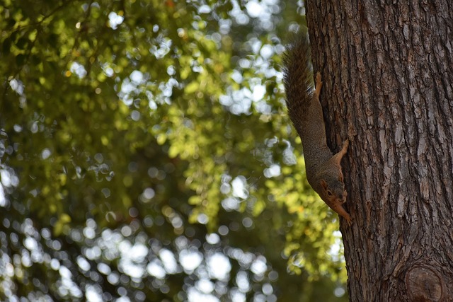 解滕哈赫的 解滕哈赫的