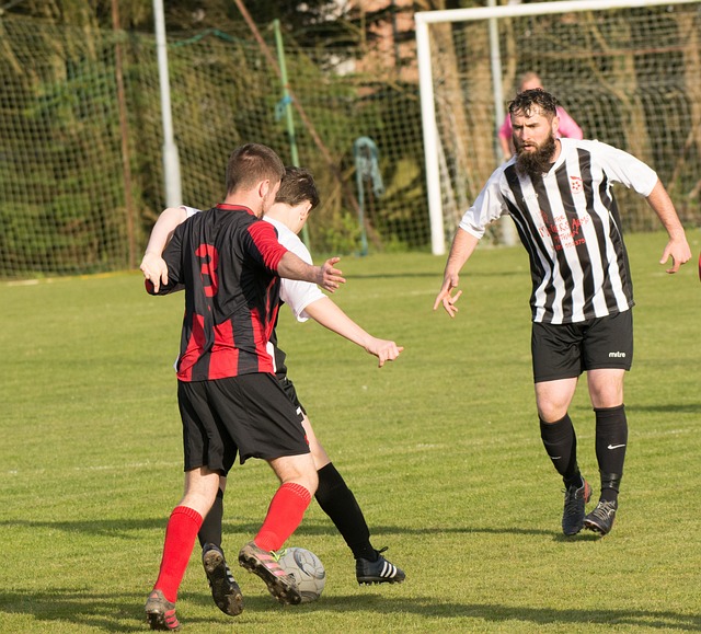 年轻球员正 年轻球员正