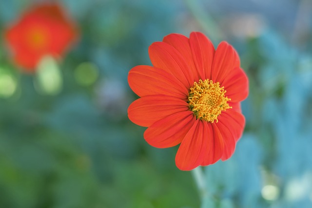 是一名资深 是一名资深