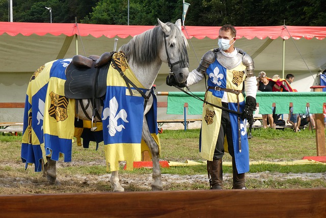 技能评级 技能评级