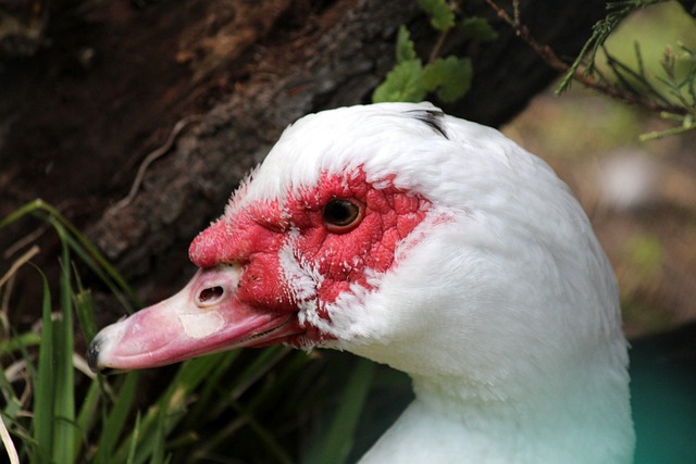 中超联赛的 中超联赛的