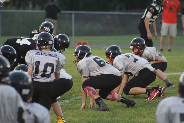 而在各类网 而在各类网