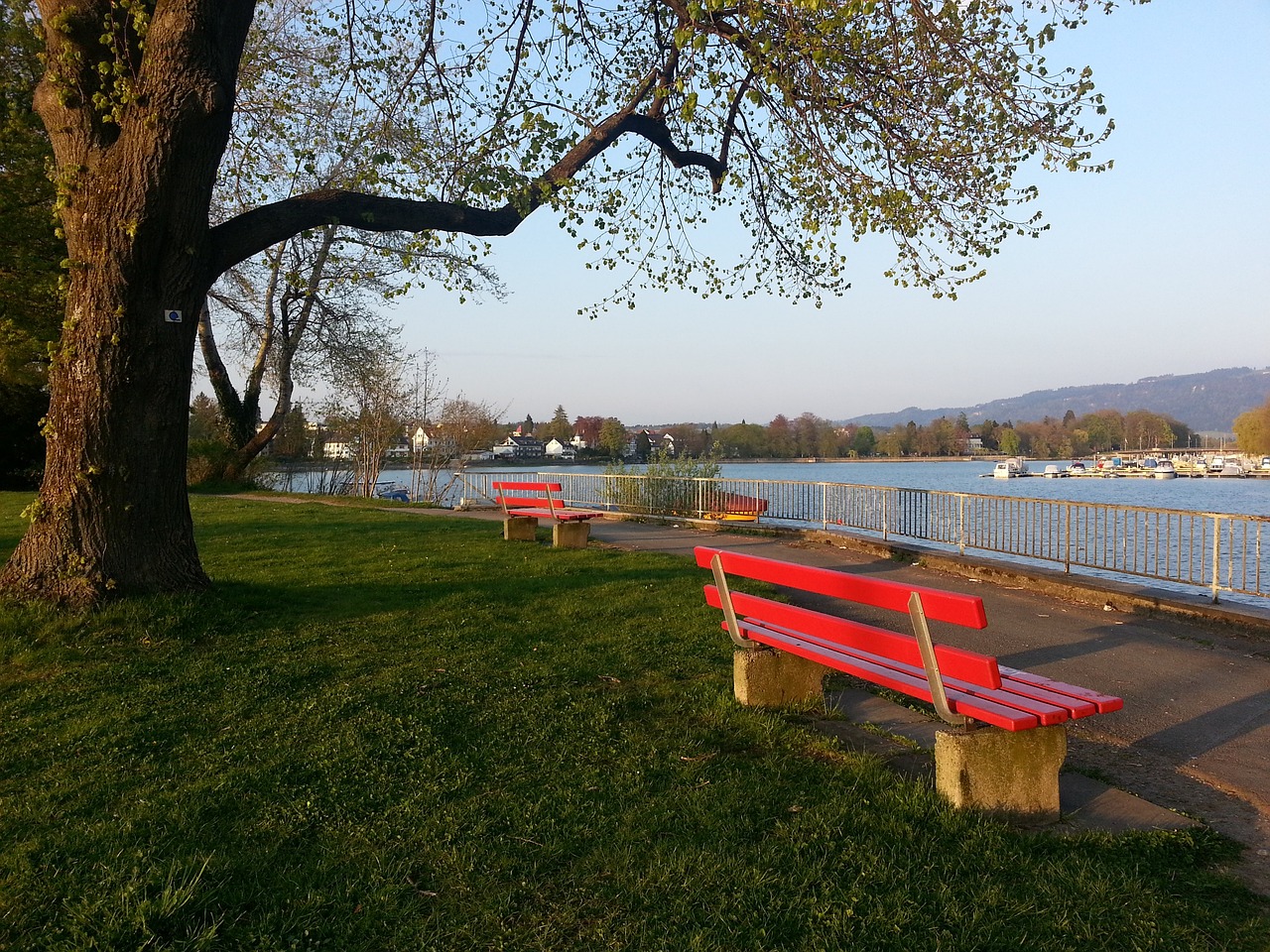 与社会发展 与社会发展