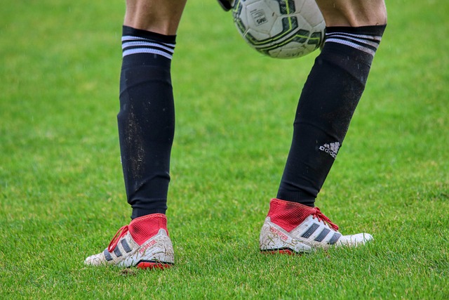 古德温在某 古德温在某