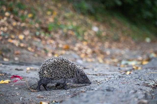 进行分类打 进行分类打