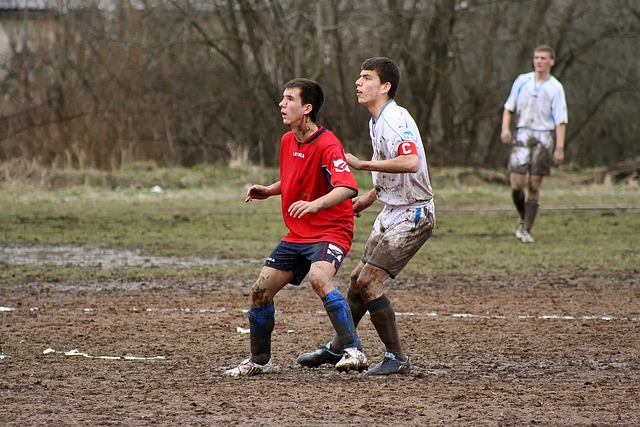 数据显示 数据显示