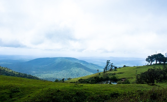 球队化学反 球队化学反